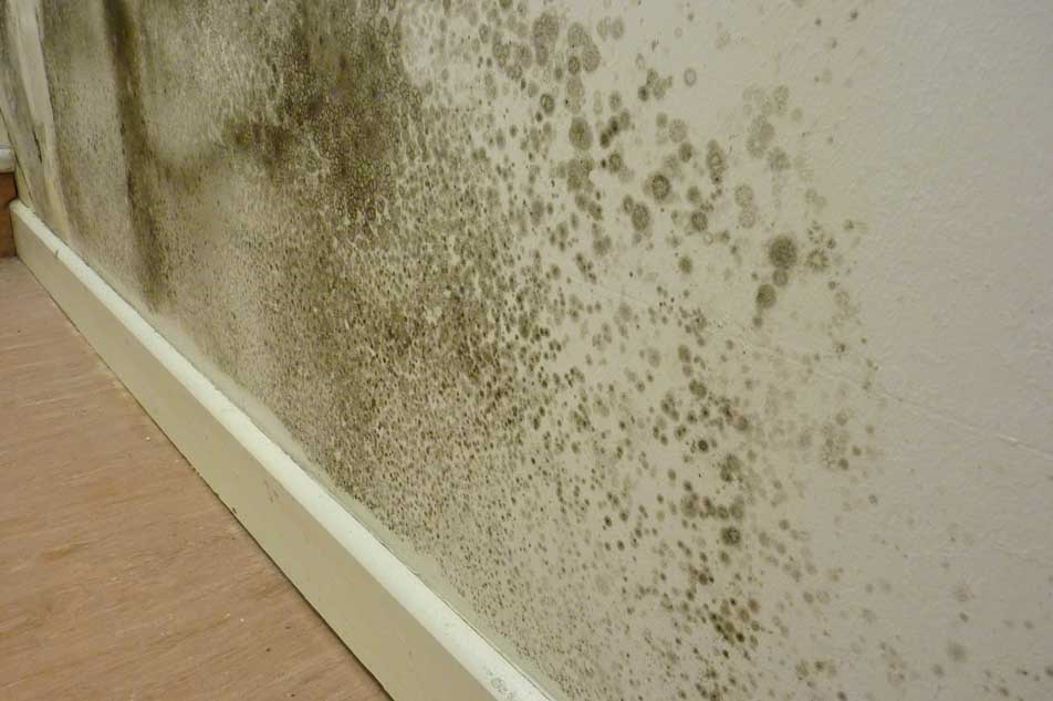 Damp control - condensation and mould - PCA